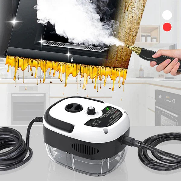 RooYard™ High-Temperature Steam Cleaner